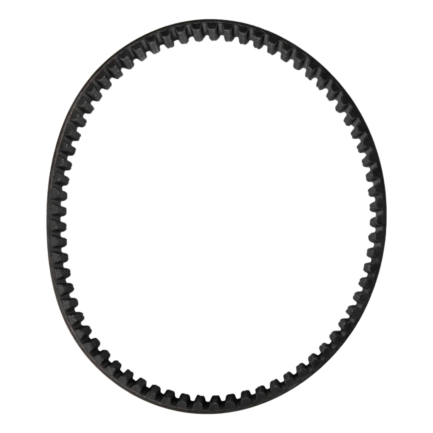 DAYCO Primary Drive Belt
