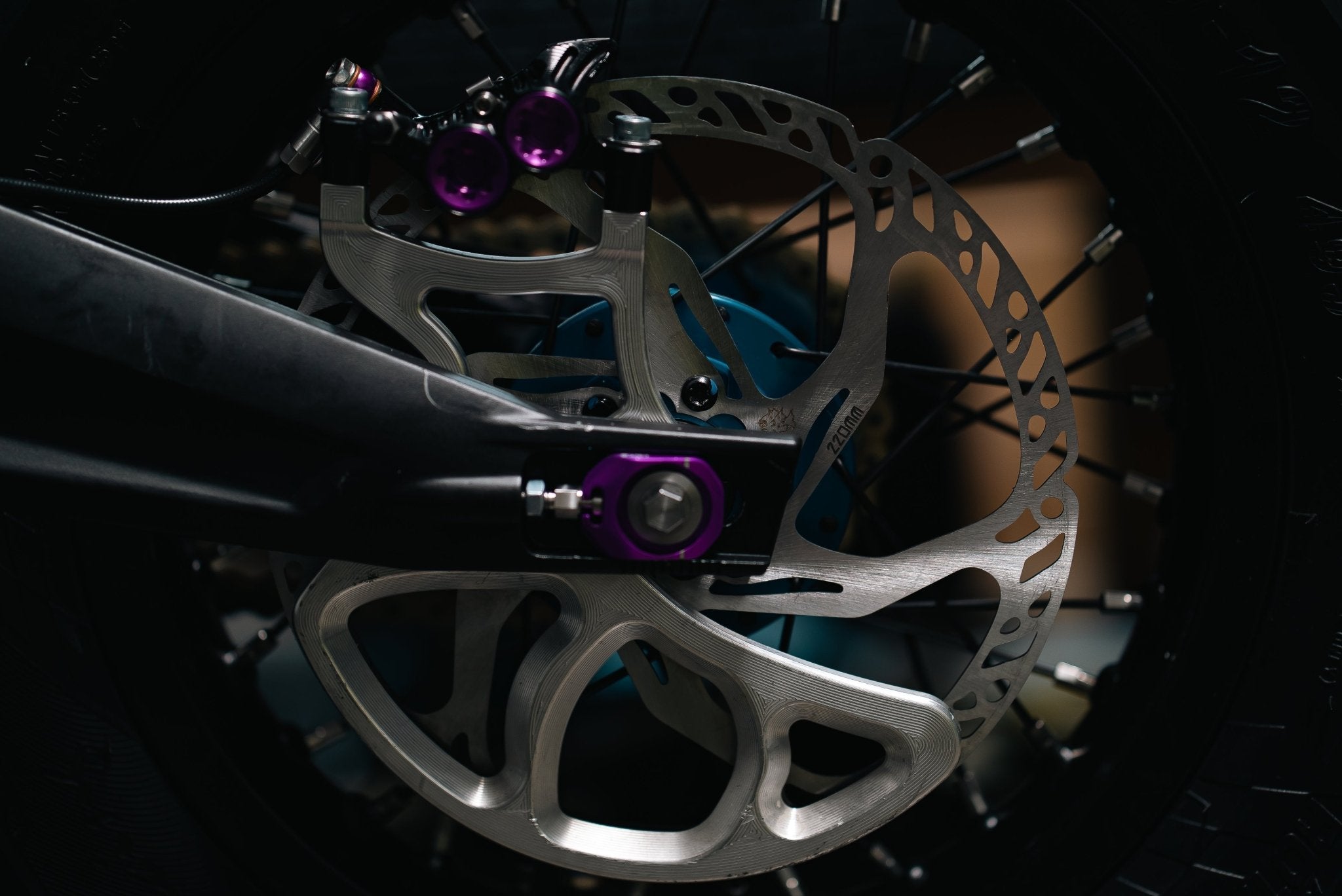 Prickly Motorsports 220mm Surron Fixed Rotor