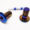 Warp9 Talaria Sting Titanium Swing Arm Bolts