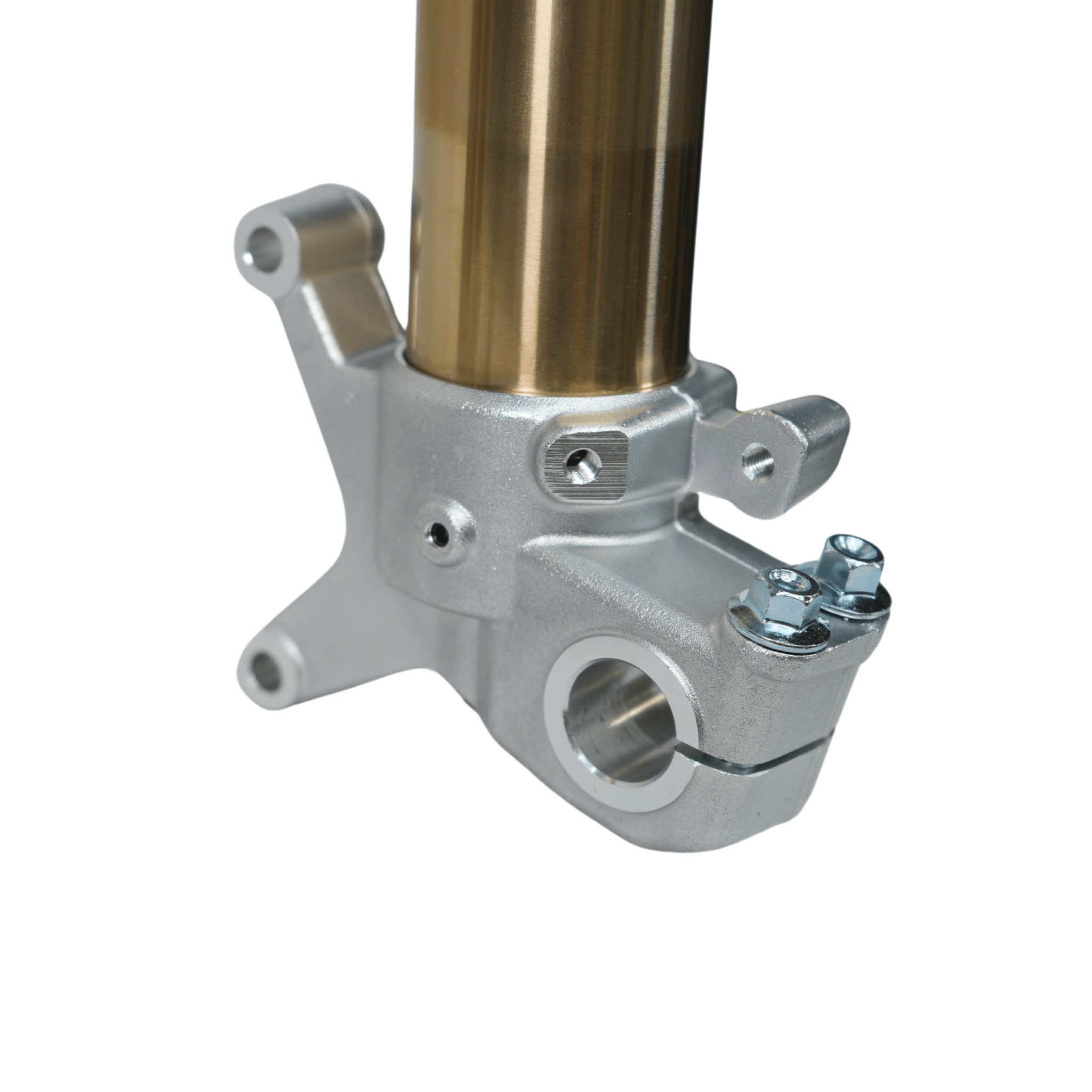 Arctic Leopard EXE Front Forks (Arctic Leopard OEM)