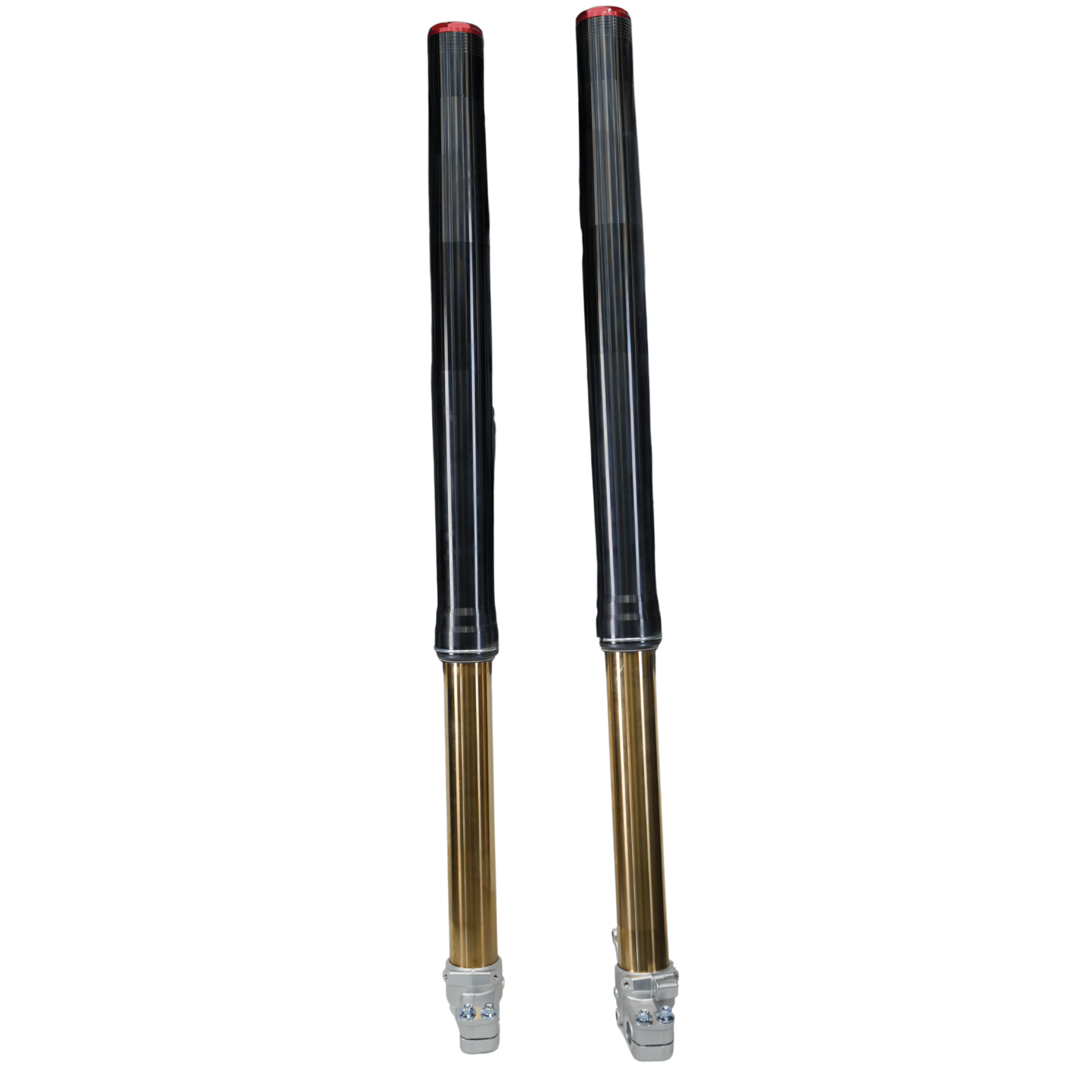 Arctic Leopard EXE Front Forks (Arctic Leopard OEM)