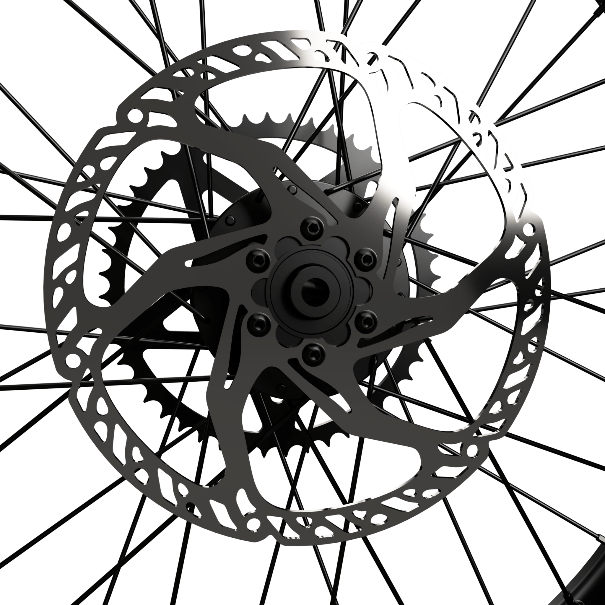 Prickly Motorsports 220mm Surron Fixed Rotor